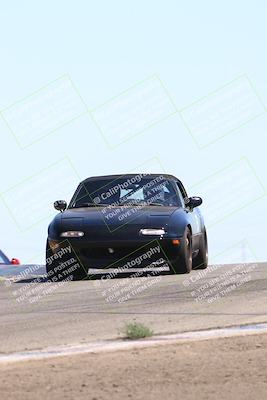 media/Jul-26-2025-Speed Ventures (Sat) [[fe569e6cf0]]/Purple Group/Grapevine/